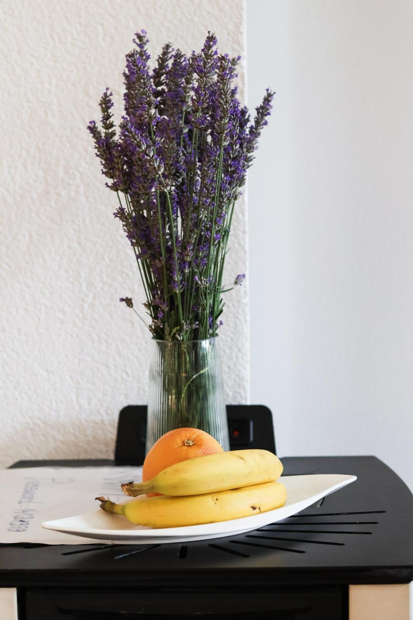 자다르 Casa Al Mare 아파트 외부 사진